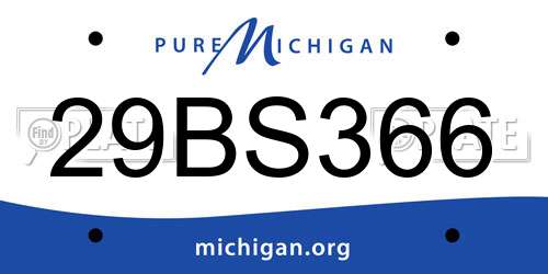 29BS366 Michigan License Plate