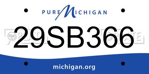 29SB366 Michigan License Plate