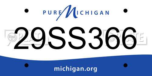 29SS366 Michigan License Plate