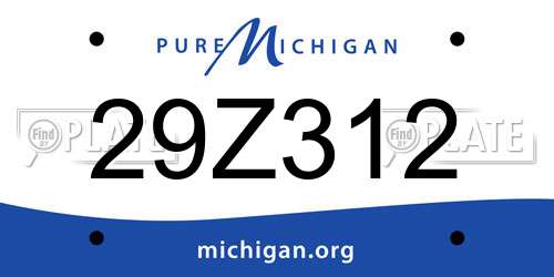 29Z312 Michigan License Plate
