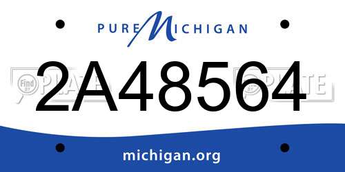 2A48564 Michigan License Plate