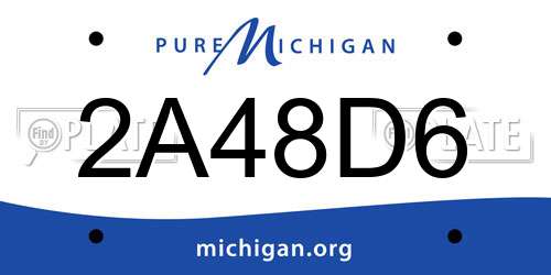 2A48D6 Michigan License Plate