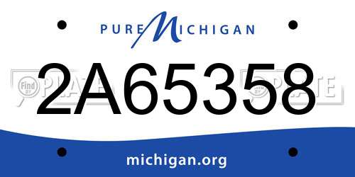 2A65358 Michigan License Plate
