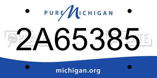 2A65385 Michigan License Plate