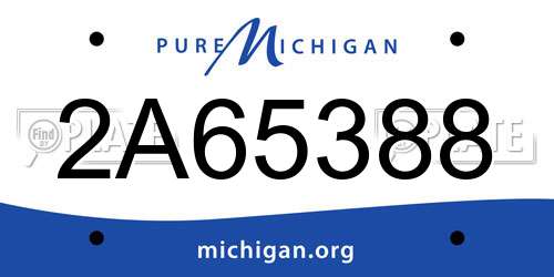 2A65388 Michigan License Plate