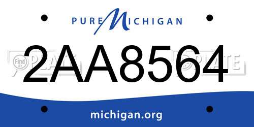 2AA8564 Michigan License Plate