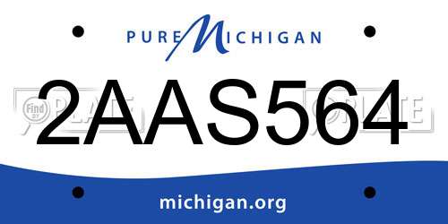 2AAS564 Michigan License Plate