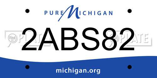 2ABS82 Michigan License Plate