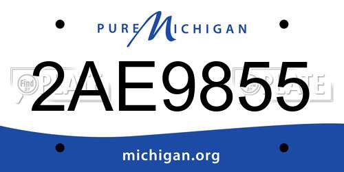 2AE9855 Michigan License Plate