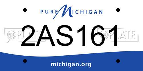 2AS161 Michigan License Plate