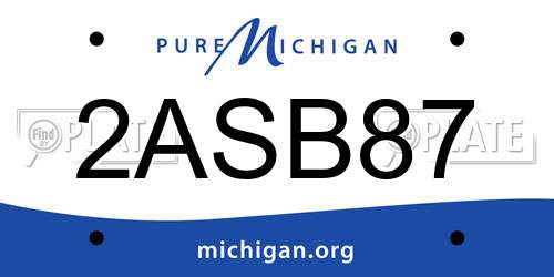 2ASB87 Michigan License Plate