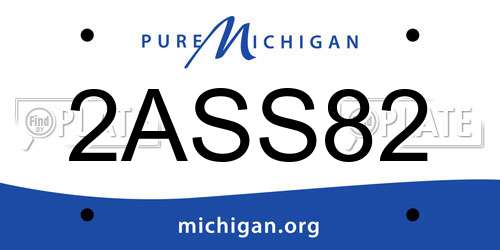 2ASS82 Michigan License Plate