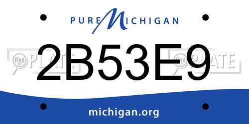 2B53E9 Michigan License Plate