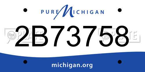 2B73758 Michigan License Plate