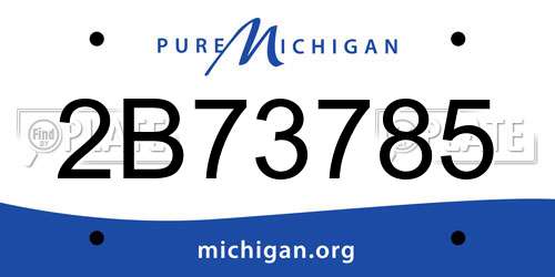 2B73785 Michigan License Plate