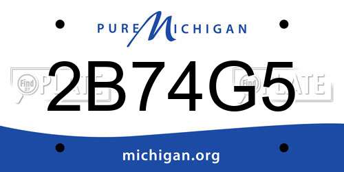 2B74G5 Michigan License Plate