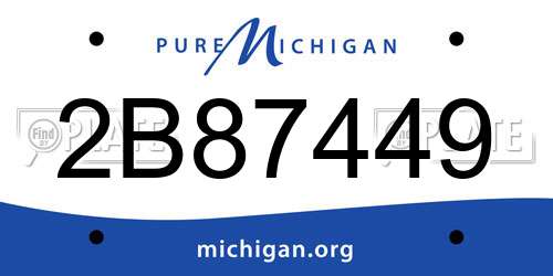 2B87449 Michigan License Plate