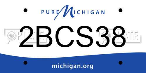 2BCS38 Michigan License Plate