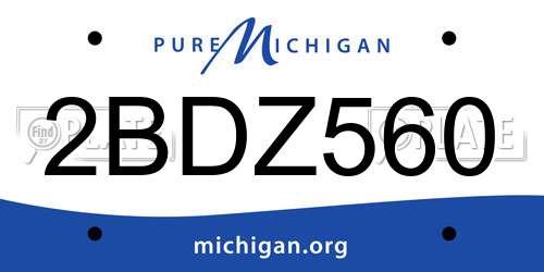 2BDZ560 Michigan License Plate