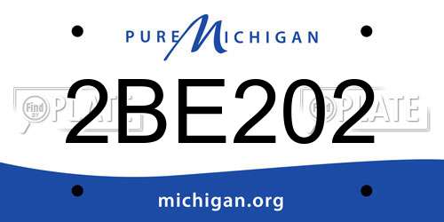 2BE202 Michigan License Plate