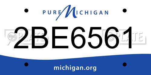 2BE6561 Michigan License Plate