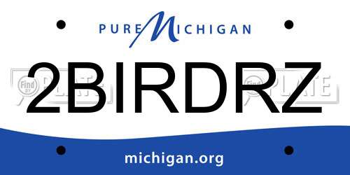 2BIRDRZ Michigan License Plate