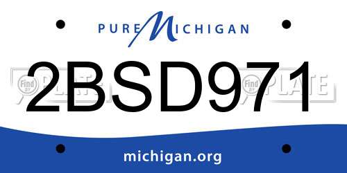 2BSD971 Michigan License Plate
