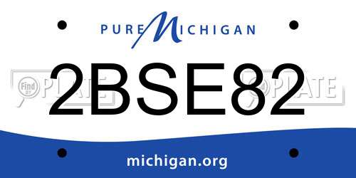 2BSE82 Michigan License Plate