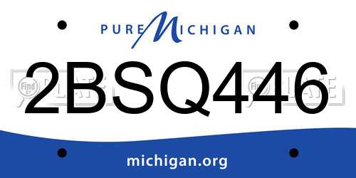 2BSQ446 Michigan License Plate