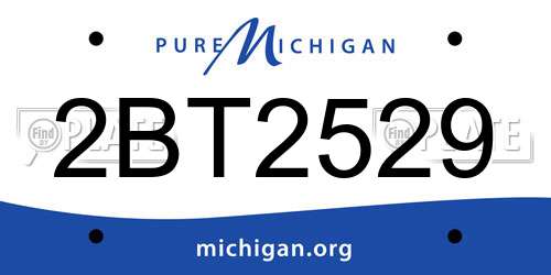2BT2529 Michigan License Plate