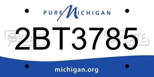 2BT3785 Michigan License Plate