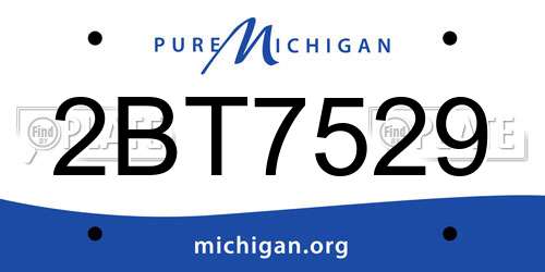2BT7529 Michigan License Plate