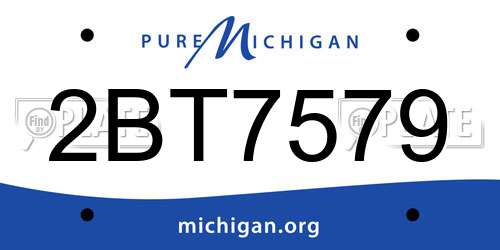 2BT7579 Michigan License Plate