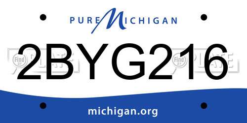 2BYG216 Michigan License Plate