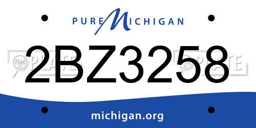 2BZ3258 Michigan License Plate