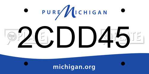 2CDD45 Michigan License Plate