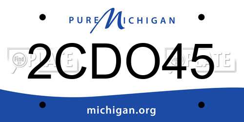 2CDO45 Michigan License Plate