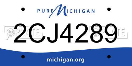 2CJ4289 Michigan License Plate