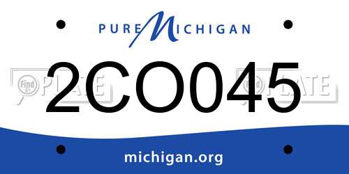 2CO045 Michigan License Plate