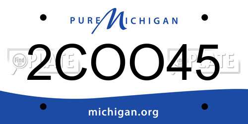 2COO45 Michigan License Plate