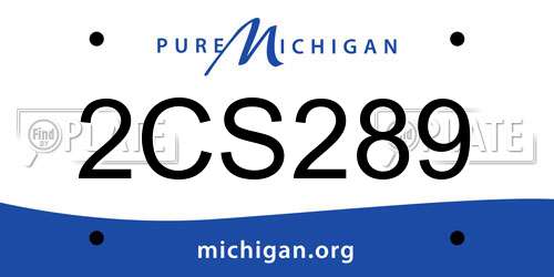 2CS289 Michigan License Plate