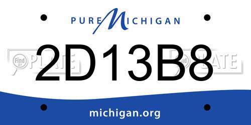 2D13B8 Michigan License Plate