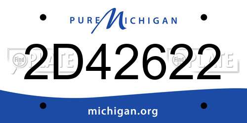 2D42622 Michigan License Plate