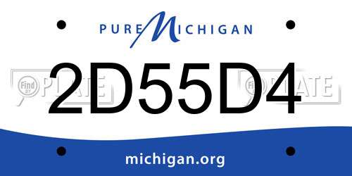 2D55D4 Michigan License Plate