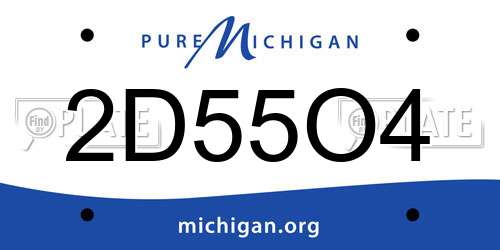 2D55O4 Michigan License Plate