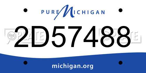 2D57488 Michigan License Plate