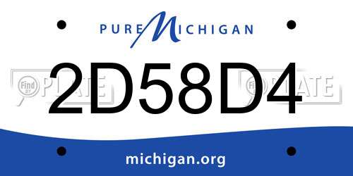 2D58D4 Michigan License Plate