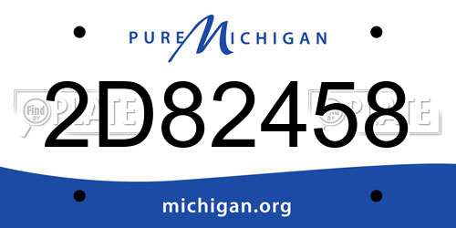 2D82458 Michigan License Plate