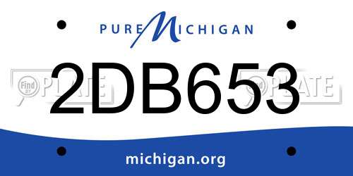 2DB653 Michigan License Plate