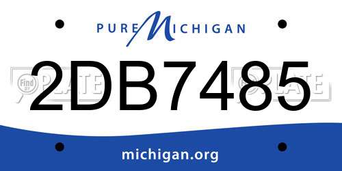 2DB7485 Michigan License Plate